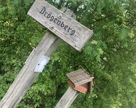 Stemephaus Drögenberg copyright Karina (4).JPEG