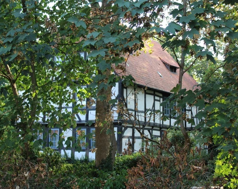 Ein historisches Fachwerkhaus mit rotem Ziegeldach, umgeben von üppigem Grün und dichten Bäumen.