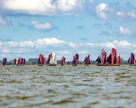 Zeesbootregatta auf Fischland-Darß-Zingst Zeesbootregatta auf Fischland-Darß-Zingst