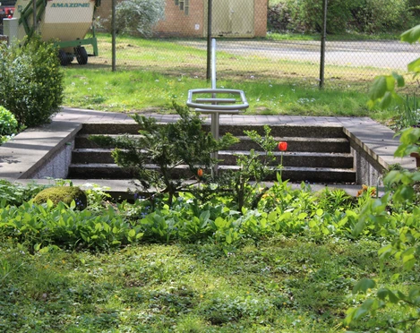 Kneippanlage Hoya Kneippanlage Hoya in einer grünen Umgebung mit Stufen und einer Metallstange zum Eintauchen im Wasser.