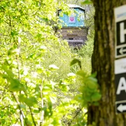 Waldweg mit Schildern führt zur versteckten Haller Kaffeemühle, umgeben von üppigem Frühlingsgrün.