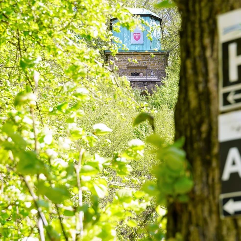 Waldweg mit Schildern führt zur versteckten Haller Kaffeemühle, umgeben von üppigem Frühlingsgrün.