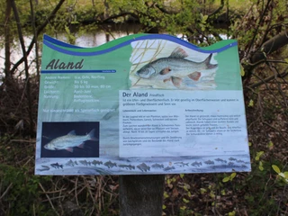 Fischlehrpfad Ihlienworth