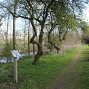 Fischlehrpfad Ihlienworth