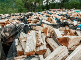 Forst Goms Forst Goms