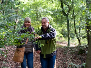 Bad Laer geht Waldbaden