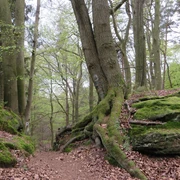 Bodensteiner Klippen