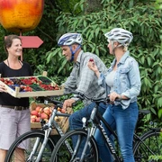 Boxenstop an einem der Obsthöfe am Elm