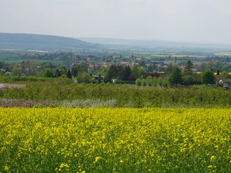 Blick auf die Obstbaumsiedlung