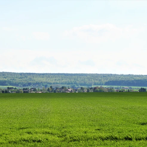 Blick über Wolsdorf zum Elm