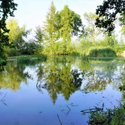 Bornteich
