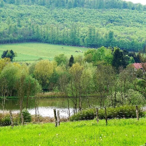 Reitlingstal mit Großem Teich