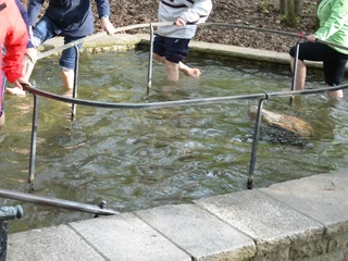 Kneipp-Tretbecken Salzgitter-Bad