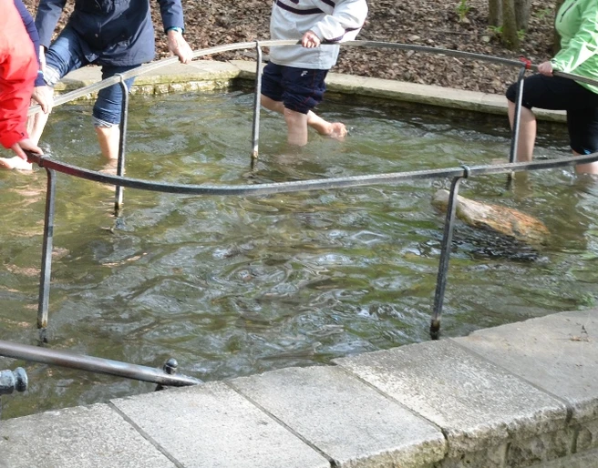 Kneipp-Tretbecken Salzgitter-Bad