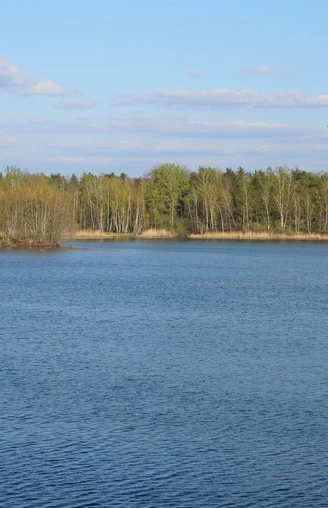Kiesteich in der Velpker Schweiz
