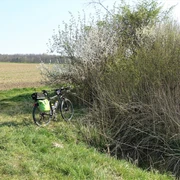 Fuhsequelle bei Klein Flöthe
