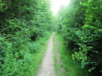 Salzgitter-Bad, Hauptweg Wanderwege 1 bis 5 im Sommer