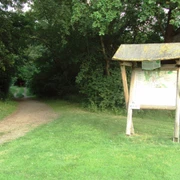 Waldeingang hinterm Thermalsolbad in Salzgitter-Bad