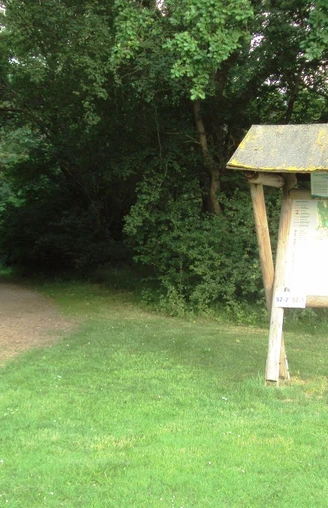Waldeingang hinterm Thermalsolbad in Salzgitter-Bad
