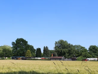 Ein Campingplatz am See, von Bäumen und Wiesen umgeben, unter einem strahlend blauen Himmel.