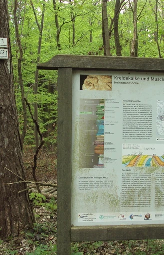 Infotafel Geopfad Salzgitter-Bad am Knotenpunkt der Wanderwege 11 und 12