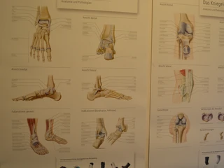 Carepoint - Orthopädietechnik in Mölln Carepoint - Orthopädietechnik in Mölln