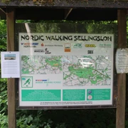 Sellingsloh Nordic Walking Informationstafel im Wald, die den Startpunkt des Sellingsloh Nordic Walking Rundwegs markiert.