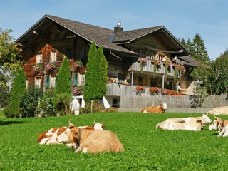 Obermattli - une Maison pour deux familles