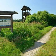 Hinweistafel und Aussichtsturm im Drömling Hinweistafel und Aussichtsturm im Drömling