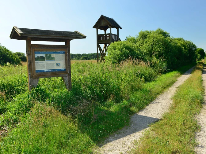 Hinweistafel und Aussichtsturm im Drömling Hinweistafel und Aussichtsturm im Drömling