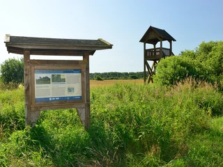 Hinweistafel und Aussichtsturm im Drömling bei Kaiserwinkel Hinweistafel und Aussichtsturm im Drömling bei Kaiserwinkel