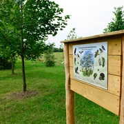 Streuobstwiese in der Nähe von Wesendorf in der Südheide Gifhorn Streuobstwiese in der Nähe von Wesendorf in der Südheide Gifhorn