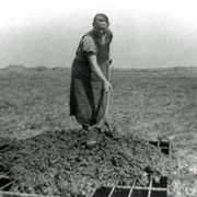 Torfbacken im Süderholmer Moor