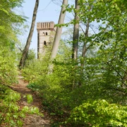 Rodeneckturm Turm im Wald