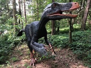Dino-Park Ein lebensgroßer Dinosaurier steht im dichten Wald, zeigt Zähne und bewegt sich durch das grüne Dickicht.