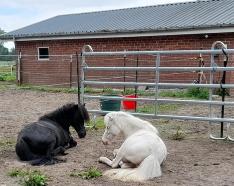 Ponyreitschule Otterndorf