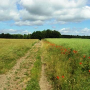 Salzgitter Höhenzug, Feldweg Wanderweg 18