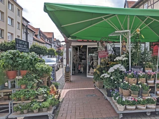 Blume2000 Blume2000 Blumensortiment