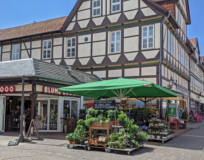 Blume2000 Blume2000 Außenansicht