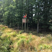 Hochsitz Ein Hochsitz aus Holz steht erhöht im Wald am Waldrand, umgeben von Bäumen und üppigem Gras.