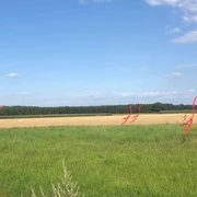 Skulptur Nestbeobachter Rote, abstrakte Stabfiguren aus Metall stehen auf einer grünen Wiese unter einem klaren blauen Himmel.