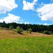 Geestgrenze