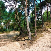 Dünenlandschaft