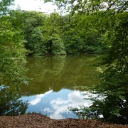 Rundweg 15.jpg