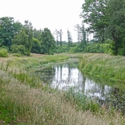 Nordradde