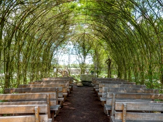 Weidenkirche Börger ©Naturpark Hümmling