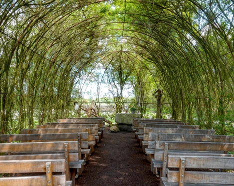 Weidenkirche Börger ©Naturpark Hümmling