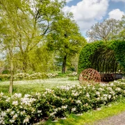 Weidenkirche Börger ©Naturpark Hümmling