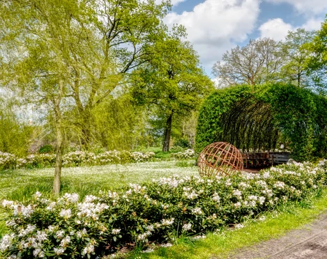 Weidenkirche Börger ©Naturpark Hümmling