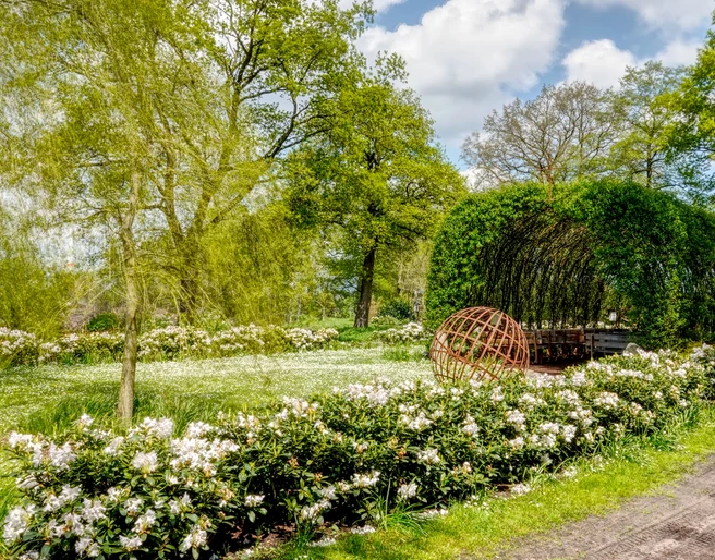 Weidenkirche Börger ©Naturpark Hümmling